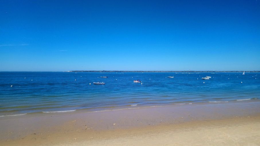 villa 11 Pièces en vente sur PYLA SUR MER (33115)