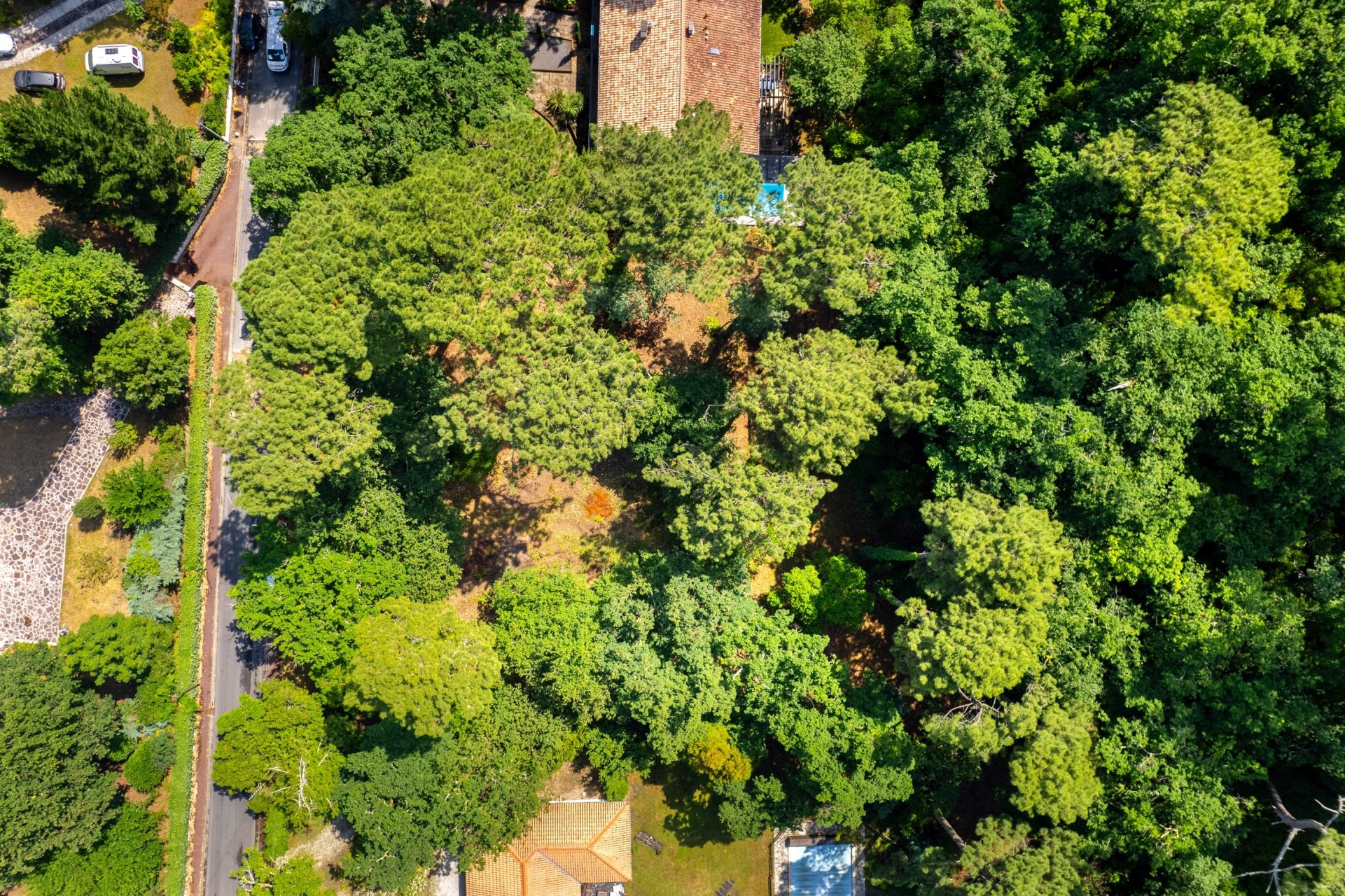 maison 5 Pièces en vente sur ARCACHON (33120)