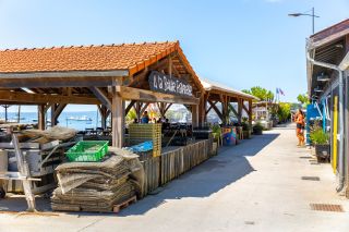 maison 6 Pièces en vente sur CAP FERRET (33970)