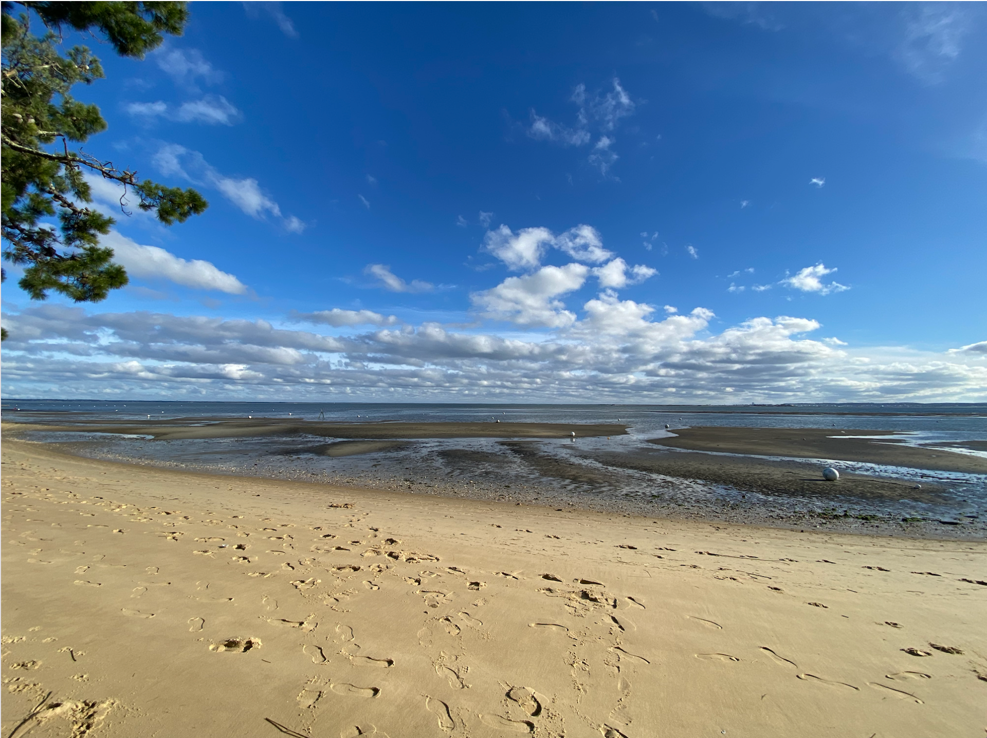 maison 7 Pièces en vente sur CAP FERRET (33970)