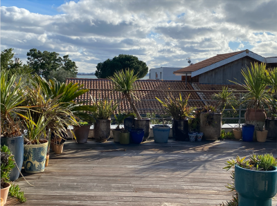 Sale House Cap-Ferret 7&nbsp;Rooms 222&nbsp;m²