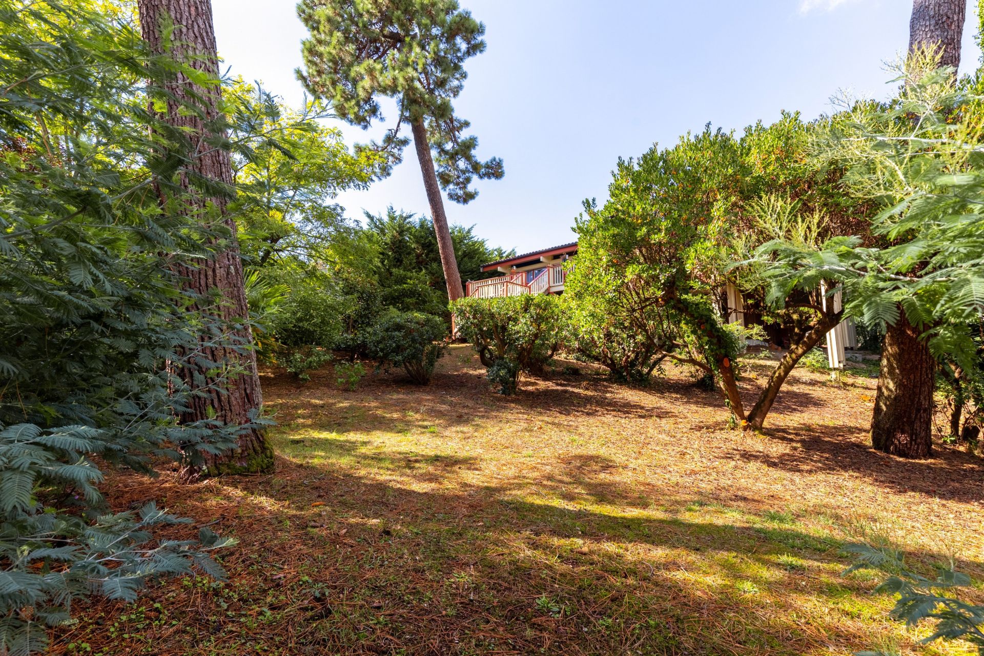 maison 8 Pièces en vente sur CAP FERRET (33970)