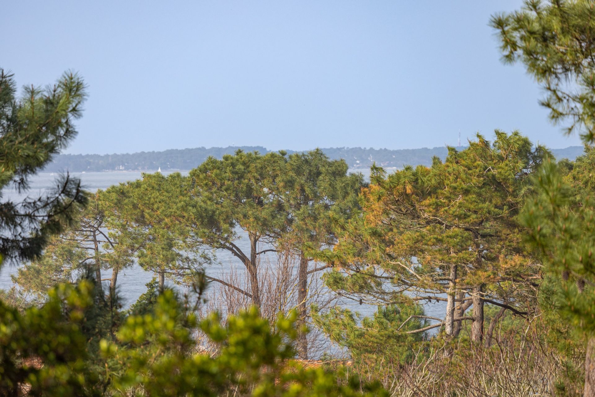 maison 5 Pièces en vente sur PYLA SUR MER (33115)