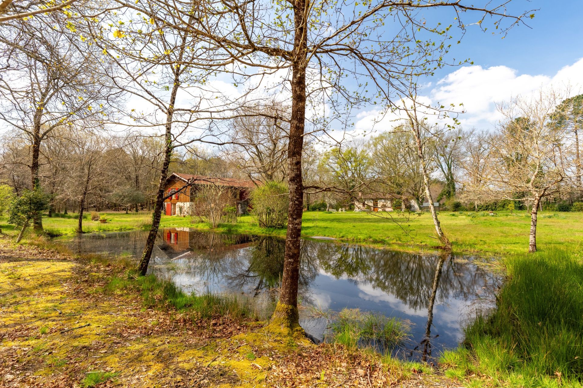 house 7 Rooms for sale on ARES (33740)