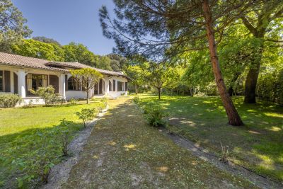 Vente Maison Pyla-sur-Mer 8&nbsp;Pièces 300&nbsp;m²