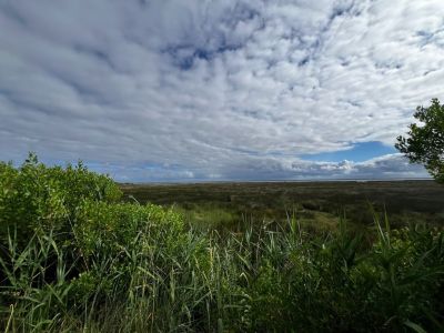 Sale Land Gujan-Mestras 1262&nbsp;m²