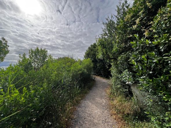 Sale Land Gujan-Mestras 1262&nbsp;m²