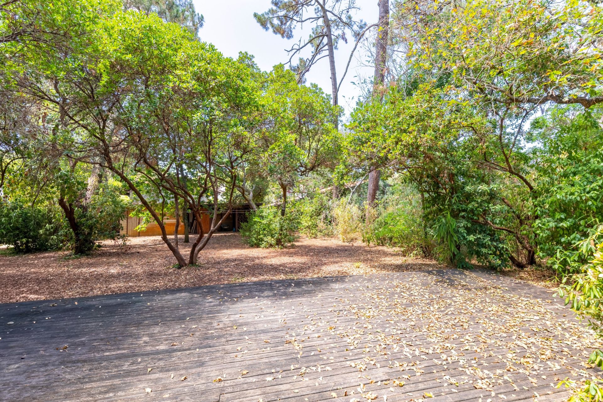 maison 7 Pièces en vente sur PYLA SUR MER (33115)