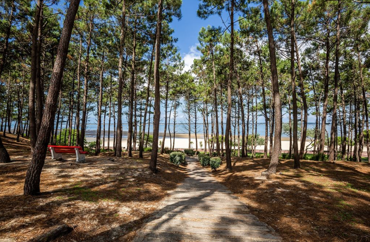 house 5 Rooms for sale on ARCACHON (33120)