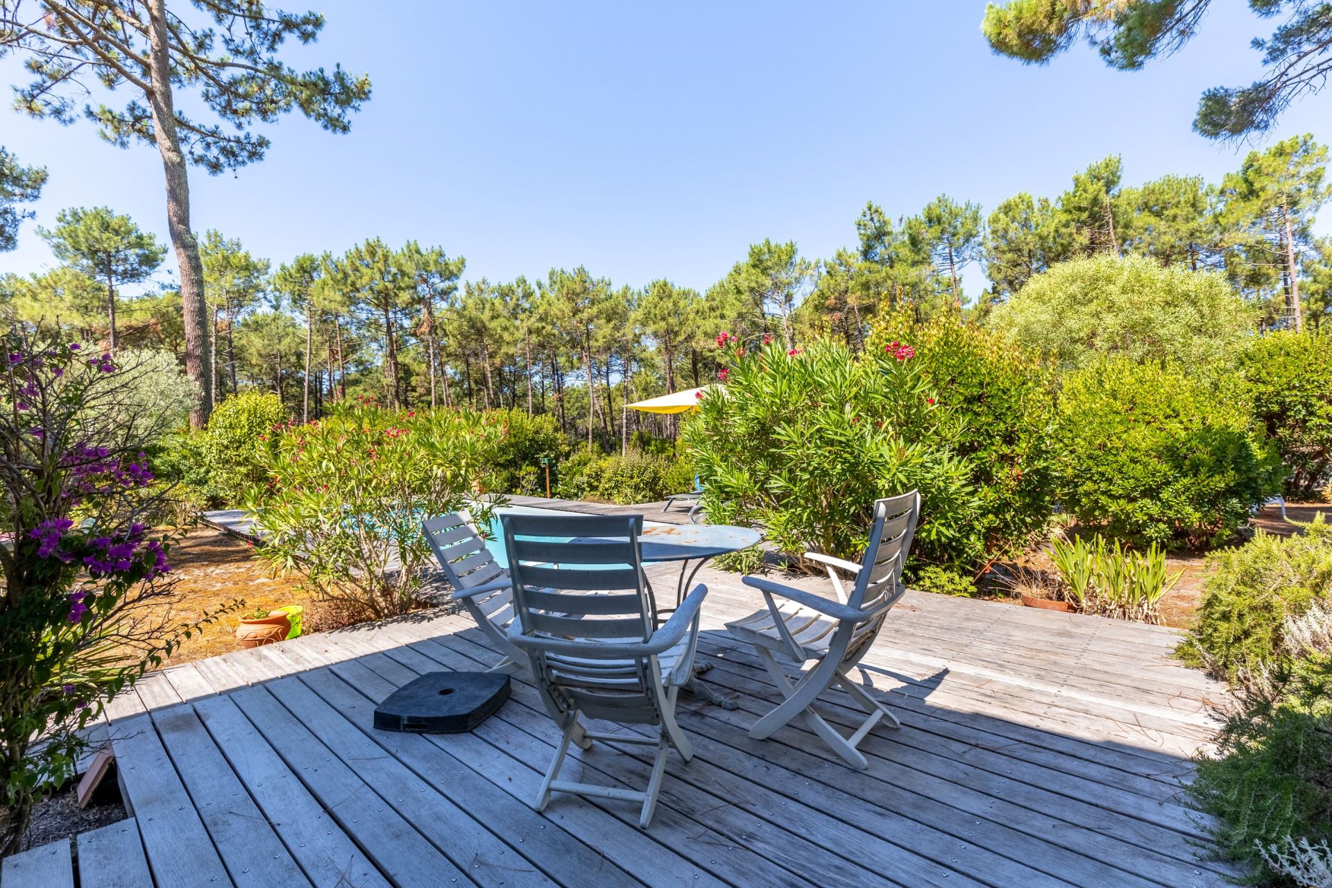 maison 6 Pièces en vente sur CAP FERRET (33970)