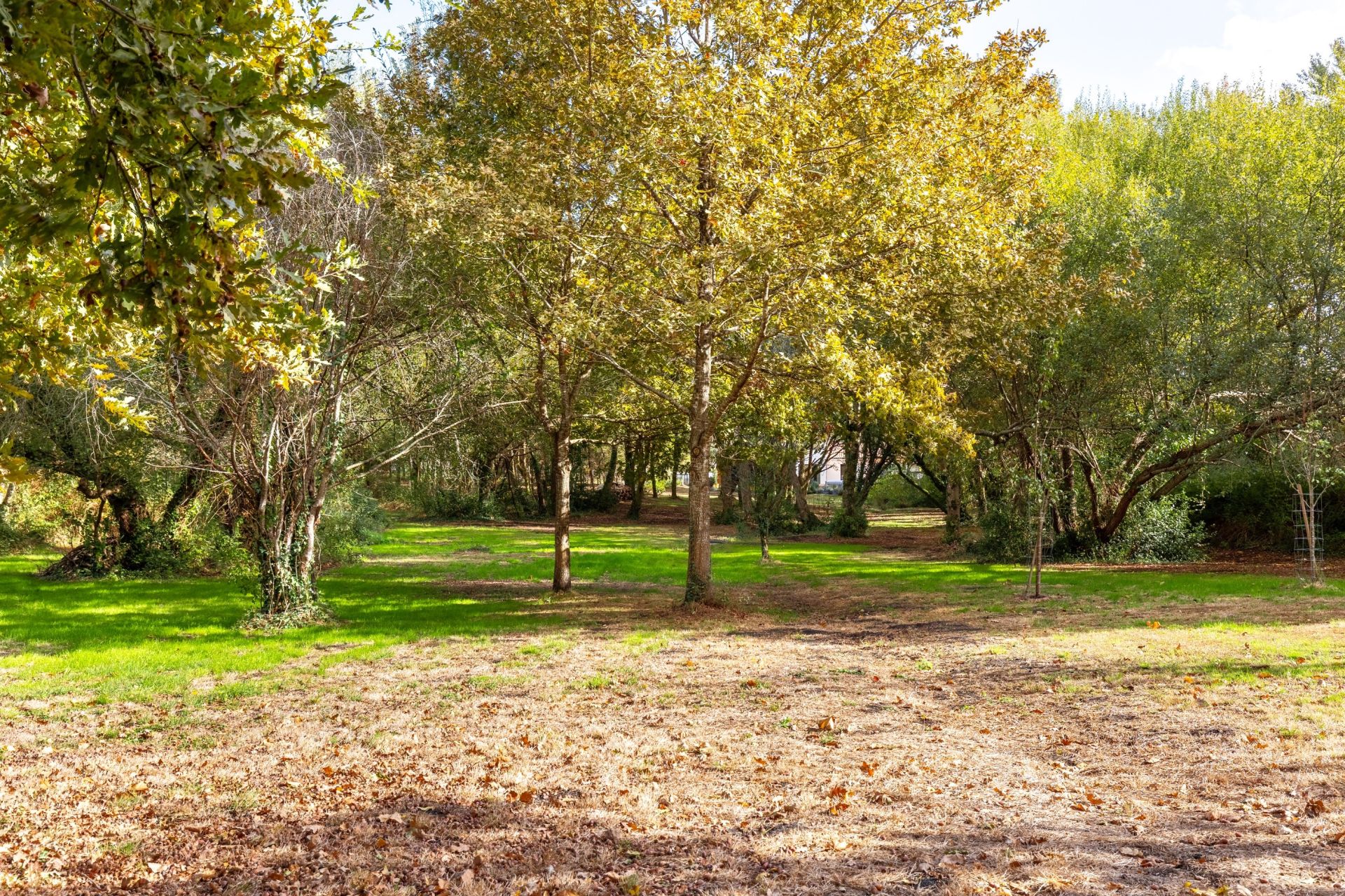 house 6 Rooms for sale on ARCACHON (33120)