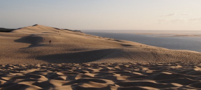 Confiez-nous votre recherche