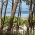 L’immobilier de luxe au Cap Ferret / Pyla
